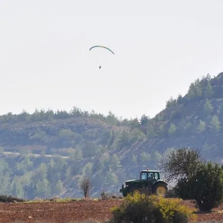 Apartament Athieno - αθηαινώ *